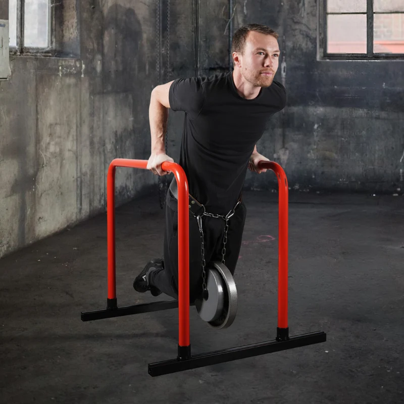HIGH PARALLETTES